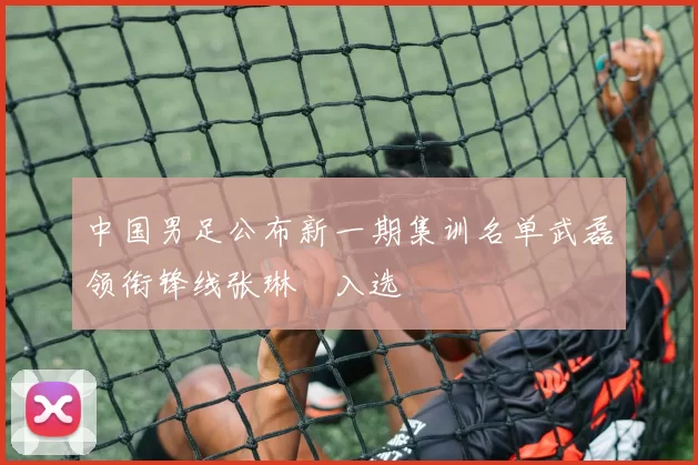 中国男足公布新一期集训名单武磊领衔锋线张琳芃入选