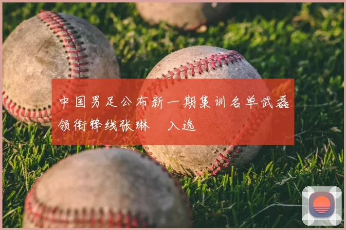 中国男足公布新一期集训名单武磊领衔锋线张琳芃入选